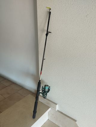 Caña de Pesca con carrete