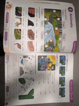 Open Up 3. Activity Book Exam