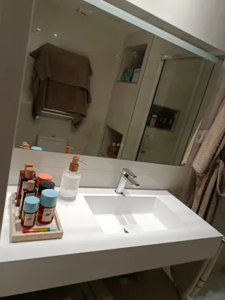 Profesional
