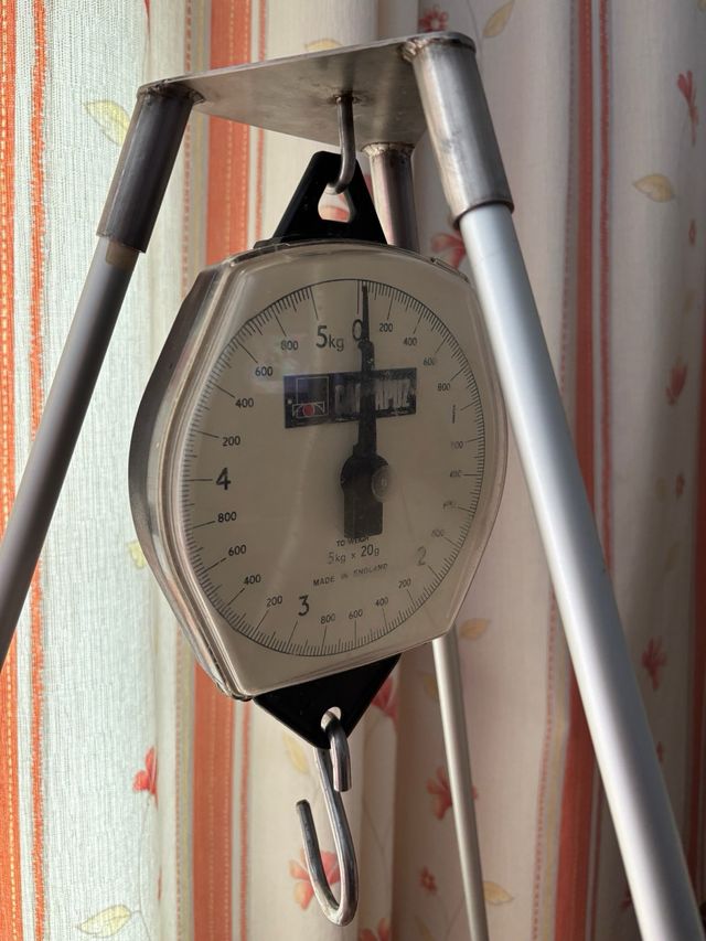 Báscula de Pesca 5 Kg