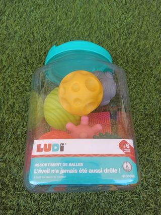 Lote 8 Pelotas Sensoriales Ludi
