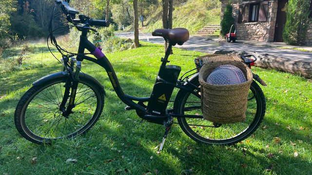 Bicicleta eléctrica Burricleta