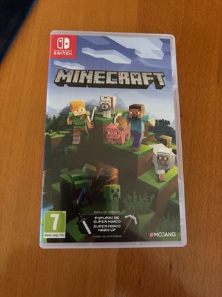 Minecraft Nintendo Switch