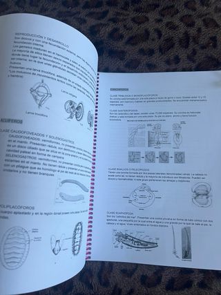 Apuntes Ciencias del Mar