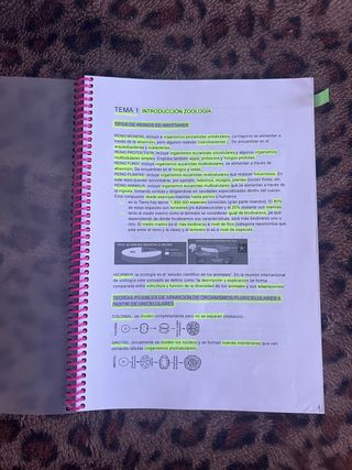 Apuntes Ciencias del Mar
