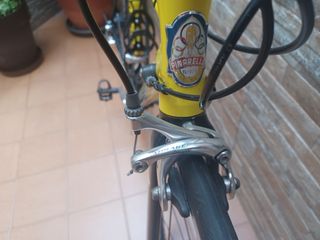 Bicicleta  Pinarello  Angliru + rodillo Tacx 