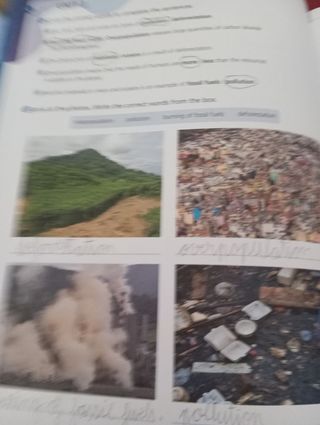 Social Science 4 Outside the Box Activity Book