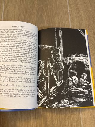 Los cinco en el páramo misterioso