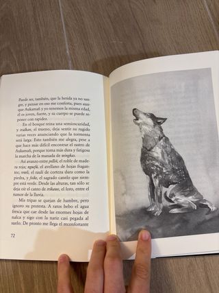 Historia de un perro llamado Leal (Spanish Edit...