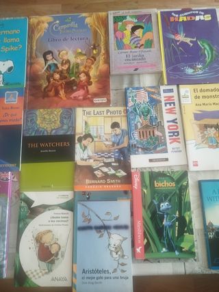 Lote libros infantiles 