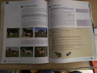 Biologia i Geologia 1 ESO