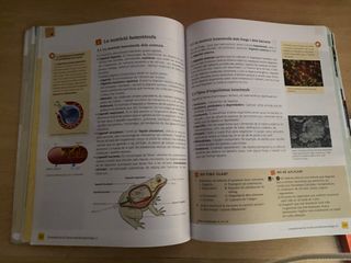 Biologia i Geologia 1 ESO