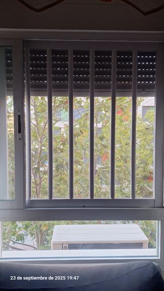 Rejas con Mosquitera para ventana