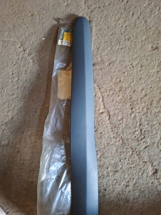 Moldura Puerta Delantera Renault Scenic I