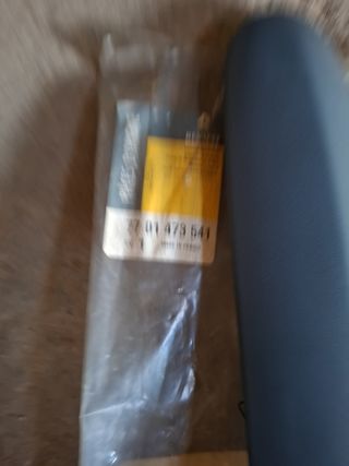 Moldura Puerta Delantera Renault Scenic I