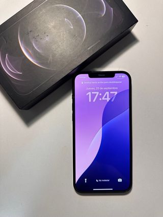 iPhone 12 Pro Max 256GB Gris/Plata