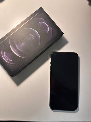 iPhone 12 Pro Max 256GB Gris/Plata