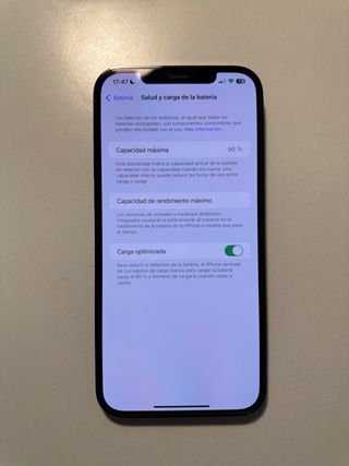 iPhone 12 Pro Max 256GB Gris/Plata