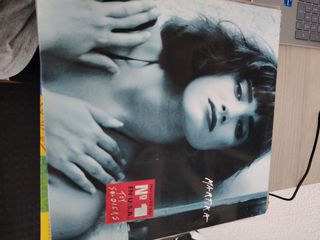 Vinilo Marikka Toy Soldiers