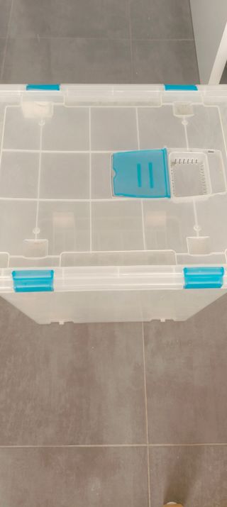 Caja de almacenaje transparente con cierres azules
