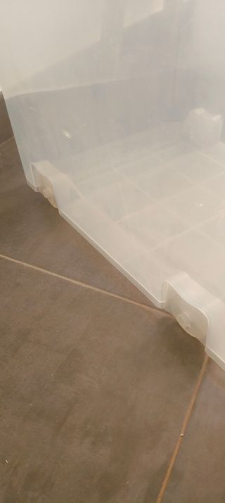 Caja de almacenaje transparente con cierres azules