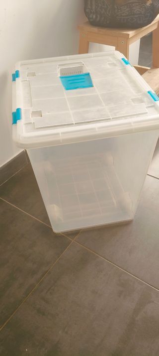 Caja de almacenaje transparente con cierres azules