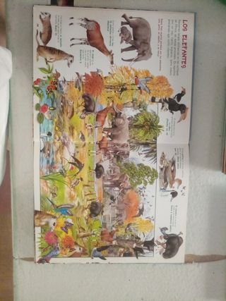 Busca los animales del zoo (Spanish Edition)