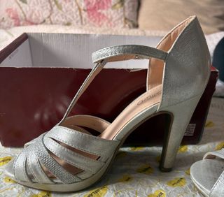 Zapatos de fiesta plateados