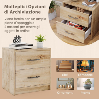 Comodino Camera da Letto con 2 Cassetti, Comodino