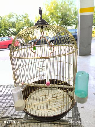 Lote de jaulas para pájaros