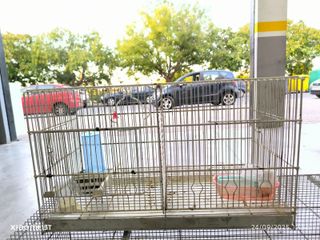 Lote de jaulas para pájaros