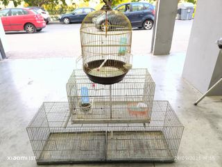 Lote de jaulas para pájaros