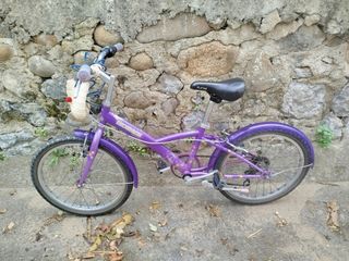 Bicicleta Morada Infantil.
Revisada.