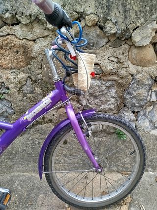 Bicicleta Morada Infantil.
Revisada.