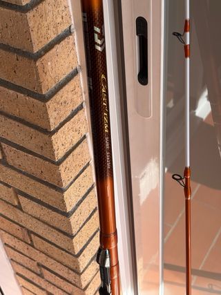Caña de pescar DAIWA CAST IZM HIBRIDA 33425H