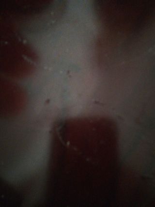 Vitrina de madera y cristal