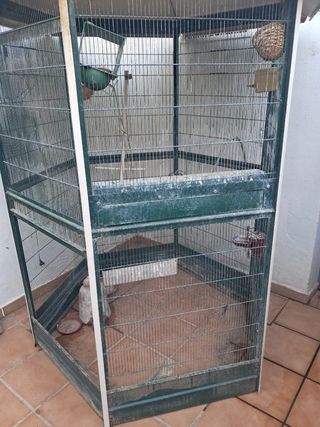 Voladera para pájaros en buen estado