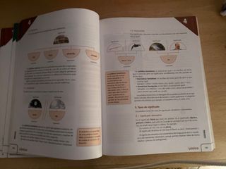 Lengua castellana y literatura 3 ESO