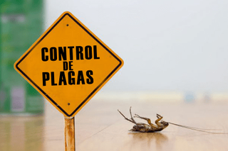 Tècnico de control de plagas econòmico