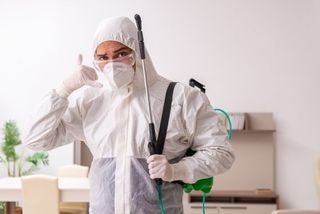 Tècnico de control de plagas econòmico