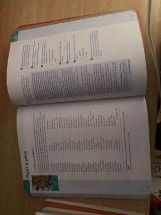 Llengua catalana i literatura 1 BAT