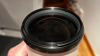 Canon 1DX y Canon EF 100 400 II 4.5 5.6