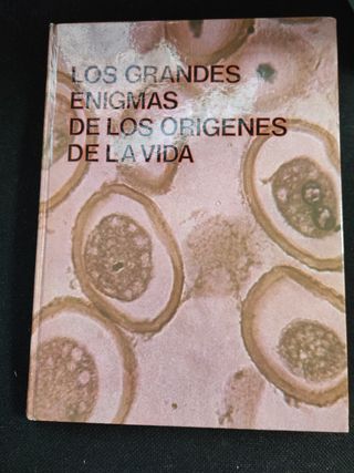 Los grandes enigmas de los orígenes de la vida