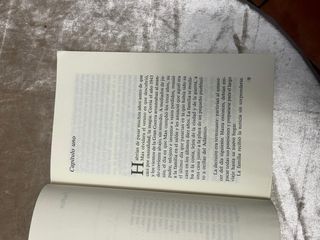 El príncipe de la niebla.