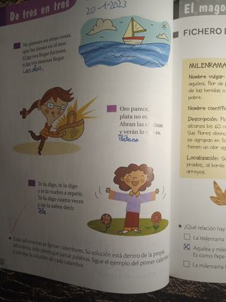 Lecturas: Ensalada de letras. 2 Primaria. Más S...