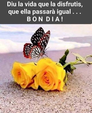 limpieza o personas mallores