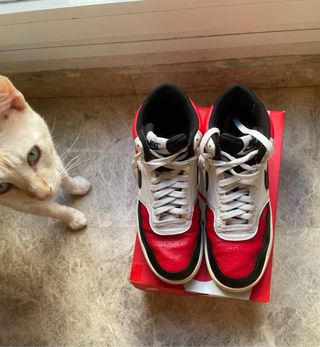 Nike Court Vision Mid Rojo y Blanco