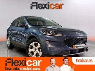 Ford Kuga Trend 1.5 EcoBlue 88kW (120CV)