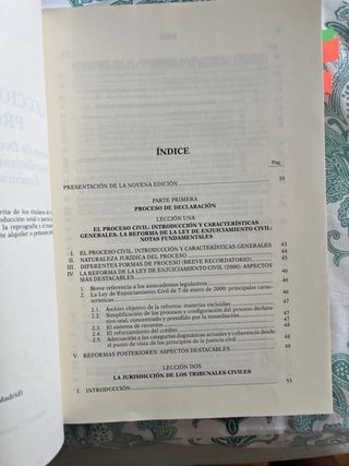 Lecciones de Derecho procesal civil 9ª edición