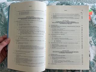 Lecciones de Derecho procesal civil 9ª edición